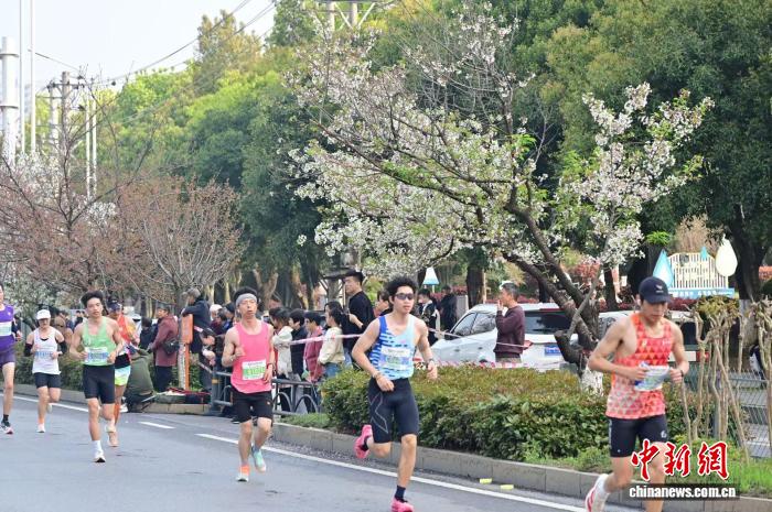 咸宁马拉松十周年融合温泉樱花打造文旅盛宴
